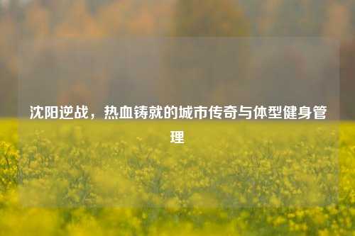 沈阳逆战，热血铸就的城市传奇与体型健身管理