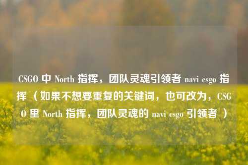 CSGO 中 North 指挥，团队灵魂引领者 navi csgo 指挥 （如果不想要重复的关键词，也可改为，CSGO 里 North 指挥，团队灵魂的 navi csgo 引领者 ）