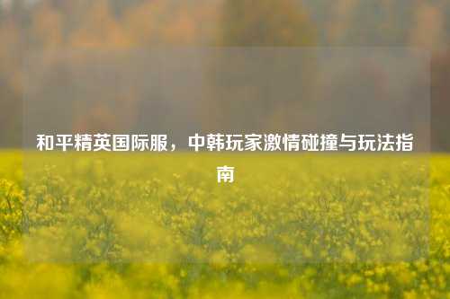 和平精英国际服，中韩玩家激情碰撞与玩法指南