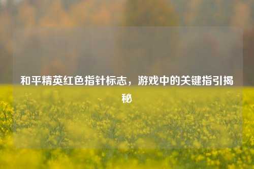 和平精英红色指针标志，游戏中的关键指引揭秘