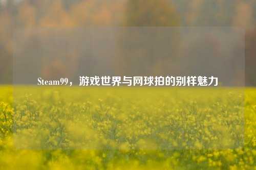 Steam99，游戏世界与网球拍的别样魅力