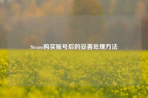 Steam购买账号后的妥善处理方法