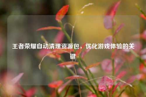 王者荣耀自动清理资源包，优化游戏体验的关键