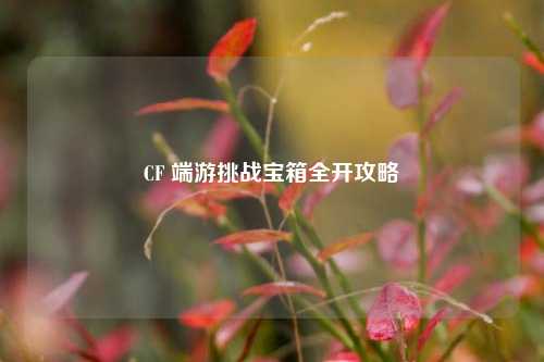 CF 端游挑战宝箱全开攻略
