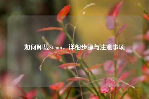 如何卸载Steam，详细步骤与注意事项