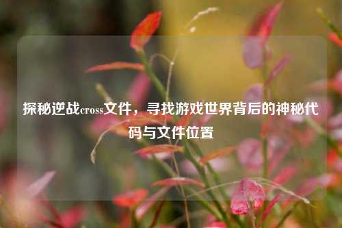 探秘逆战cross文件，寻找游戏世界背后的神秘代码与文件位置