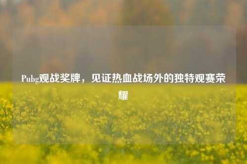 Pubg观战奖牌，见证热血战场外的独特观赛荣耀