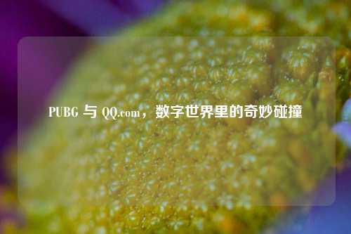 PUBG 与 QQ.com，数字世界里的奇妙碰撞