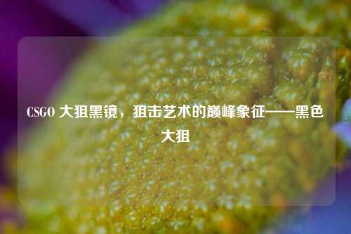 CSGO 大狙黑镜，狙击艺术的巅峰象征——黑色大狙