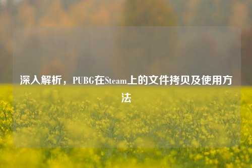 深入解析，PUBG在Steam上的文件拷贝及使用方法
