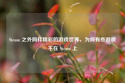 Steam 之外同样精彩的游戏世界，为何有些游戏不在 Steam 上