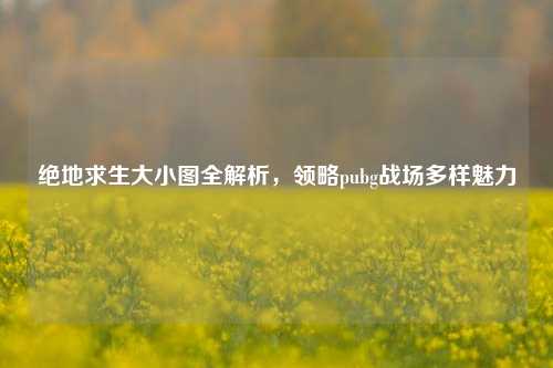 绝地求生大小图全解析，领略pubg战场多样魅力