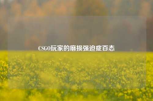 CSGO玩家的磨损强迫症百态