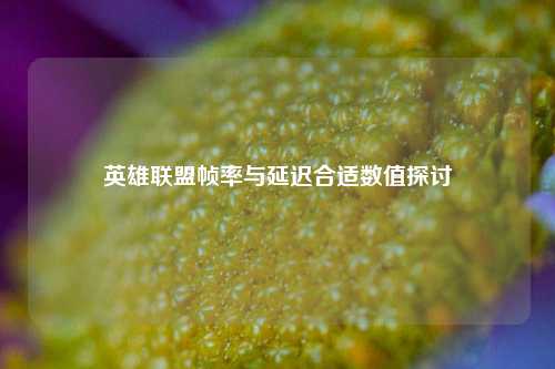 英雄联盟帧率与延迟合适数值探讨