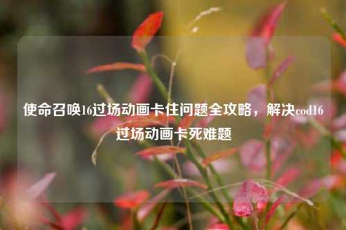 使命召唤16过场动画卡住问题全攻略，解决cod16过场动画卡死难题