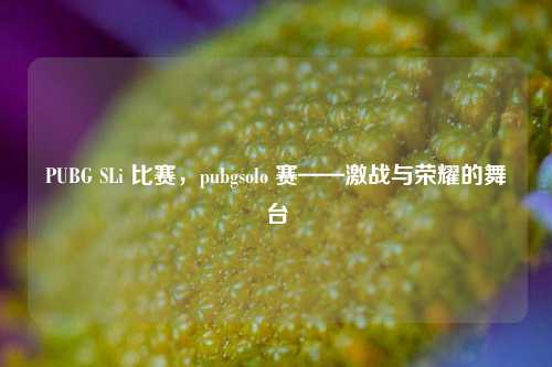 PUBG SLi 比赛，pubgsolo 赛——激战与荣耀的舞台