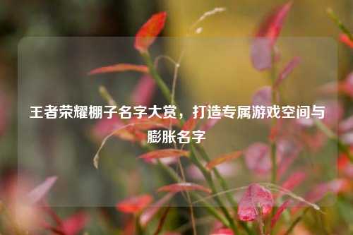 王者荣耀棚子名字大赏,打造专属游戏空间与膨胀名字