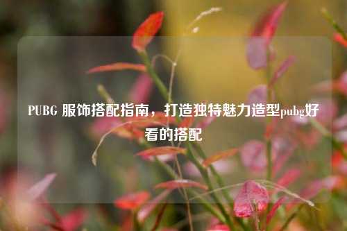 PUBG 服饰搭配指南,打造独特魅力造型pubg好看的搭配