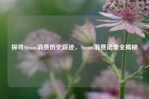 探寻Steam消费历史踪迹,Steam消费记录全揭秘