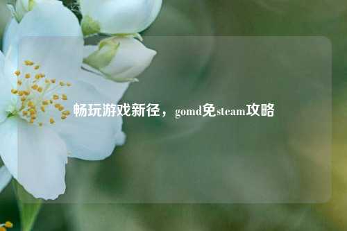畅玩游戏新径,gomd免steam攻略