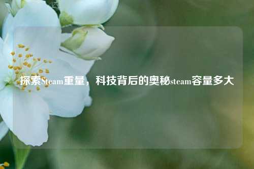 探索Steam重量，科技背后的奥秘steam容量多大