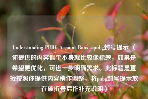 Understanding PUBG Account Bans - pubg封号提示 （你提供的内容似乎本身就比较像标题，如果是希望更优化，可进一步明确需求。此标题是直接按照你提供内容稍作调整，将pubg封号提示放在破折号后作补充说明）