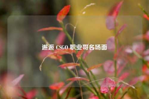 邂逅 CSGO 职业哥名场面