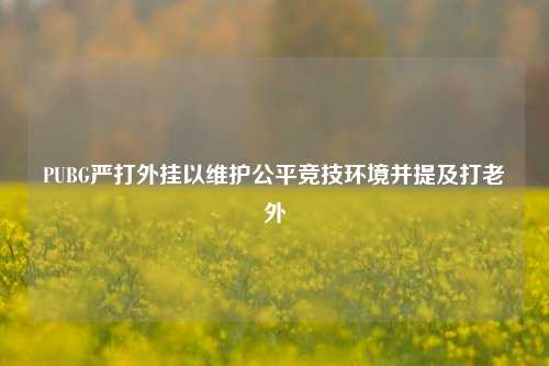 PUBG严打外挂以维护公平竞技环境并提及打老外
