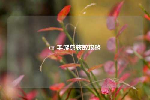 CF 手游慈获取攻略