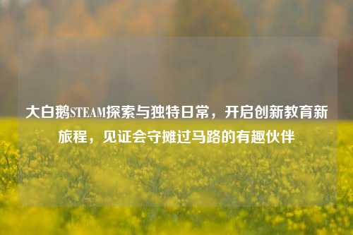 大白鹅STEAM探索与独特日常,开启创新教育新旅程,见证会守摊过马路的有趣伙伴