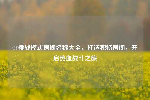 CF挑战模式房间名称大全,打造独特房间,开启热血战斗之旅