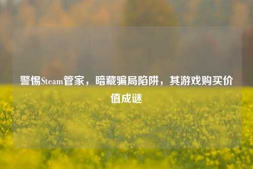 警惕Steam管家，暗藏骗局陷阱，其游戏购买价值成谜
