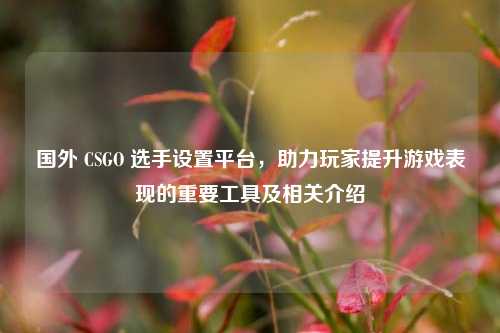 国外 CSGO 选手设置平台,助力玩家提升游戏表现的重要工具及相关介绍