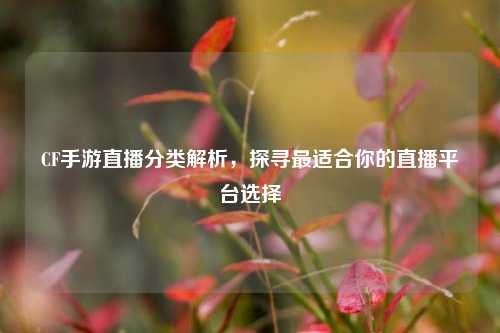 CF手游直播分类解析，探寻最适合你的直播平台选择