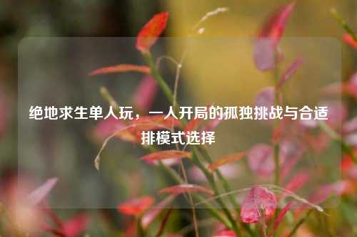 绝地求生单人玩,一人开局的孤独挑战与合适排模式选择