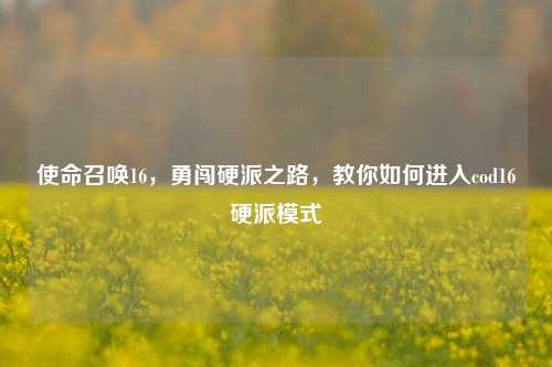 使命召唤16，勇闯硬派之路，教你如何进入cod16硬派模式