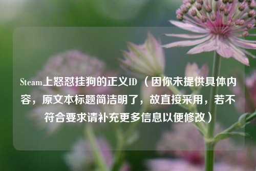 Steam上怒怼挂狗的正义ID (因你未提供具体内容,原文本标题简洁明了,故直接采用,若不符合要求请补充更多信息以便修改)