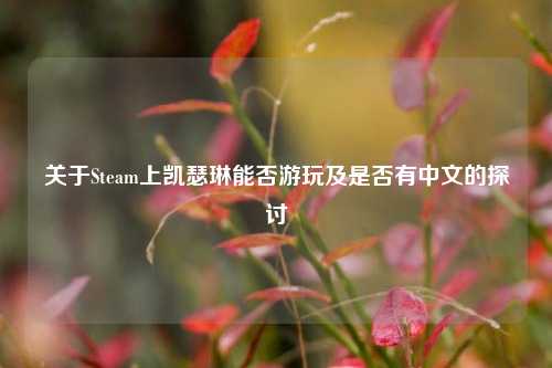 关于Steam上凯瑟琳能否游玩及是否有中文的探讨