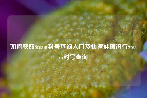 如何获取Steam封号查询入口及快速准确进行Steam封号查询