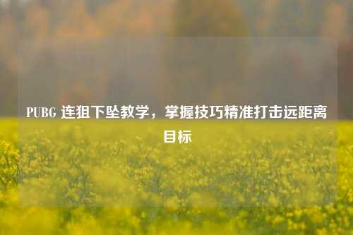 PUBG 连狙下坠教学，掌握技巧精准打击远距离目标