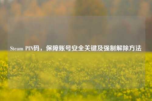 Steam PIN码,保障账号安全关键及强制解除方法
