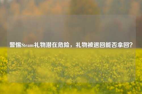 警惕Steam礼物潜在危险，礼物被退回能否拿回？