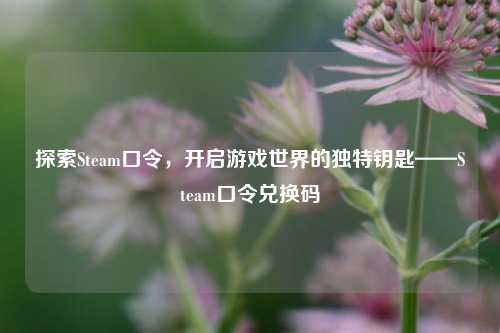 探索Steam口令,开启游戏世界的独特钥匙——Steam口令兑换码