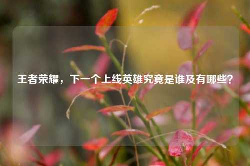 王者荣耀,下一个上线英雄究竟是谁及有哪些?