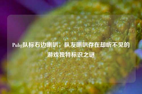 Pubg队标右边喇叭，队友喇叭存在却听不见的游戏独特标识之谜