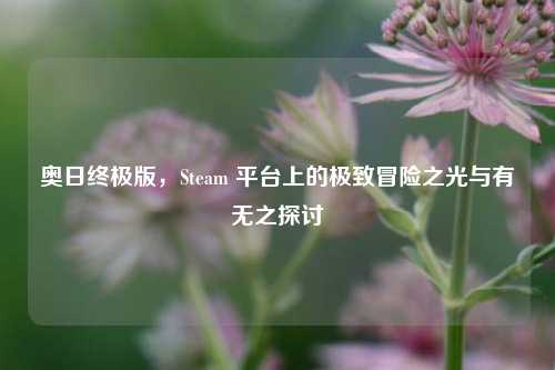 奥日终极版,Steam 平台上的极致冒险之光与有无之探讨