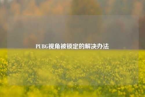 PUBG视角被锁定的解决办法