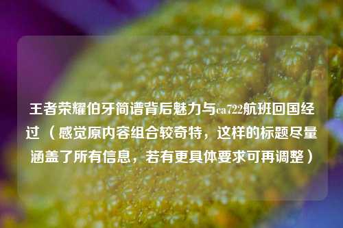 王者荣耀伯牙简谱背后魅力与ca722航班回国经过 （感觉原内容组合较奇特，这样的标题尽量涵盖了所有信息，若有更具体要求可再调整）