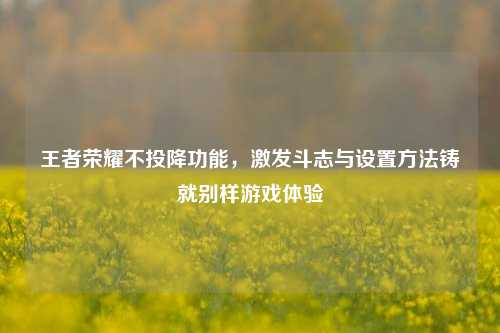 王者荣耀不投降功能，激发斗志与设置方法铸就别样游戏体验