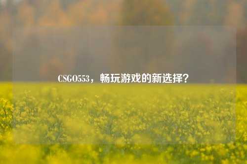 CSGO553,畅玩游戏的新选择?